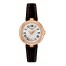 Tissot Bellissima Small Lady T126.010.36.013.00