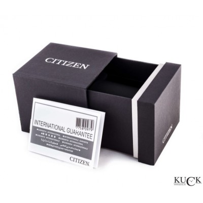 Citizen Titanium Eco Drive Chrono CA4570-88L | KUCK