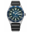 Citizen Promaster Challenge Diver NY0129-07LE