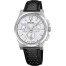 Festina Swiss Made Chronograph F20060/1