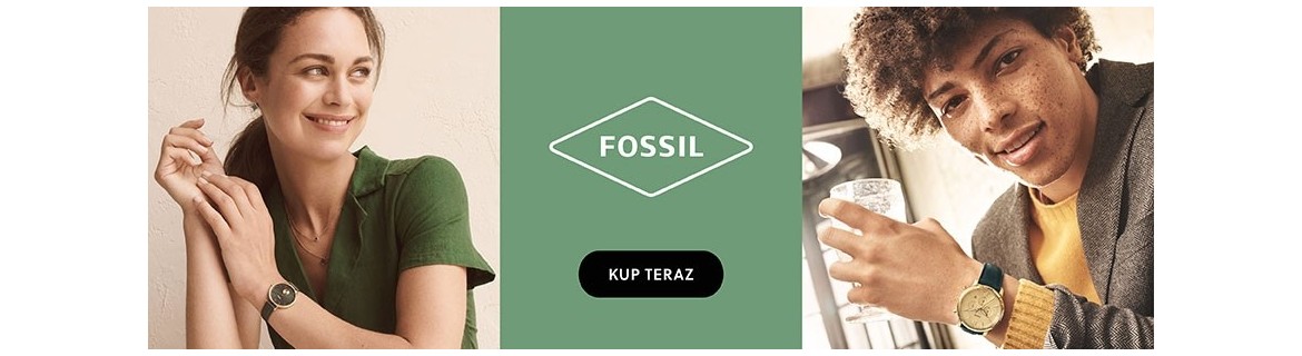 FOSSIL COLLECTIONS